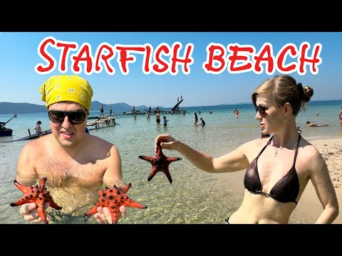 Видео: Фукуок! Пляж с морскими звёздами Starfish Beach. Как попасть бесплатно! Рекомендации от #ТамГдеМы