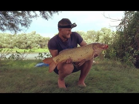 Видео: Рыбалка с ночевкой. Ловля крупного сазана (карпа). Ловля судака. Ловля окуня. Часть 2