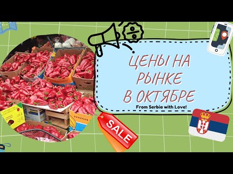Видео: ЦЕНЫ в сербии в октябре | Жизнь в Сербии