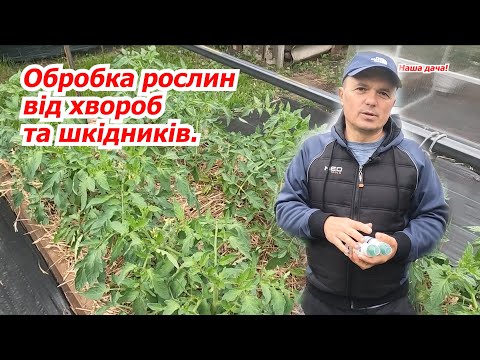 Видео: Обробка рослин від хвороб та шкідників- дуже просто та надійно.