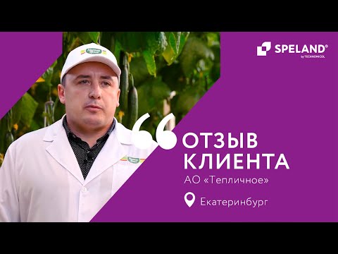 Видео: SPELAND. Отзыв клиента. АО «Тепличное» г. Екатеринбург