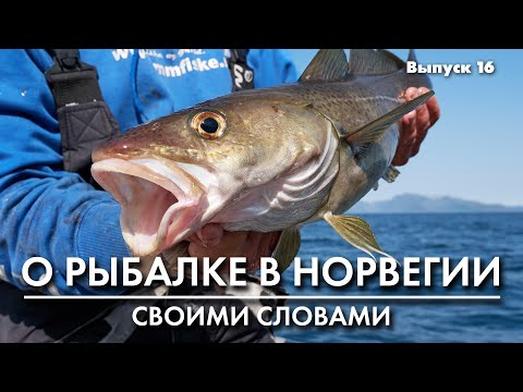 Видео: Рыбалка в Норвегии. Джиг головки Sand Eel