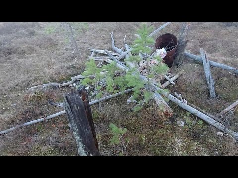 Видео: ОХОТА НА МЕДВЕДЯ! МЕДВЕДЬ ПРИШЕЛ, НО ЕСТЬ ОДНО НО....