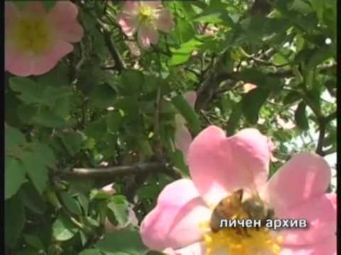 Видео: Светът и всичко в него със СИМЕОН ИДАКИЕВ (03.03.2014г. 1-ва част)