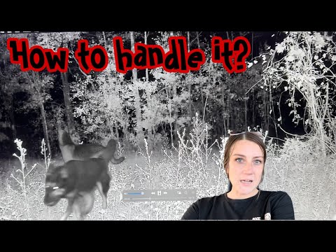 Видео: Скрытники и беглецы — пора снимать!