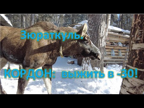 Видео: Зюраткуль. Кордон "У Трех Вершин". ЗАМЕРЗАЕМ в - 30!!!