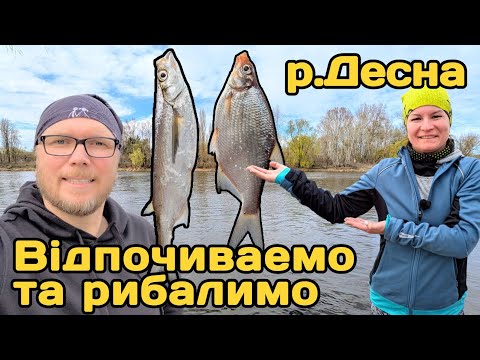 Видео: Відпочиваемо та рибалимо.Чехонь прийшла на вечерю!
