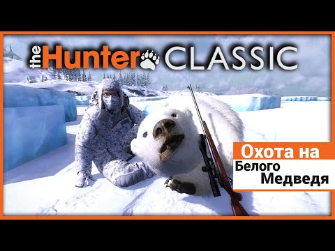 Видео: Охота на Белого медведя в theHunter: Classic