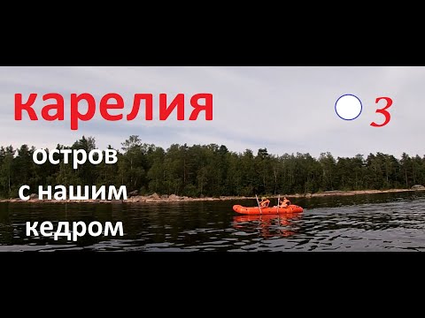 Видео: ОСТРОВ с НАШИМ КЕДРОМ. КАРЕЛИЯ. КОПЧЕНАЯ ПЛОТВА. АТМОСФЕРНЫЙ СПЛАВ по ЛАДОЖСКИМ ШХЕРАМ /3