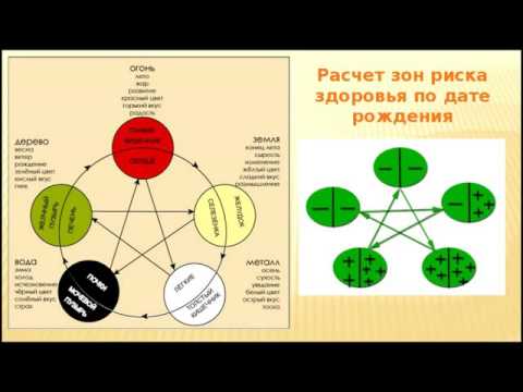 Видео: Галина Беляева Основы системы У син и секреты восточной медицины  21 06