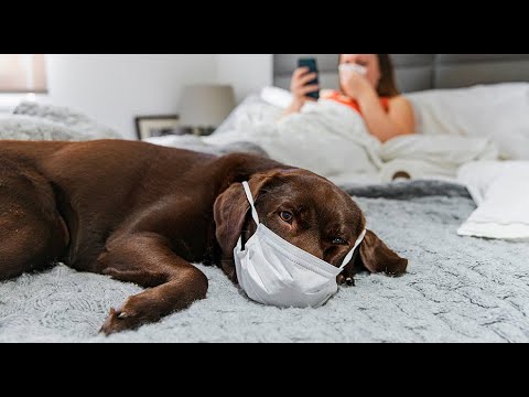 Видео: Внимание! Как изменились цены? Мошенники.