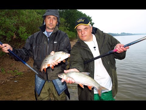 Видео: Магията на дунавския скобар II - част 2