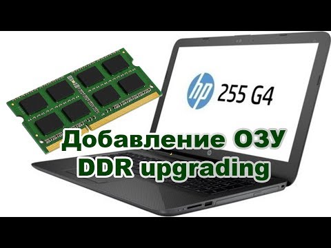 Видео: Добавляем оперативную память в HP 255 G4