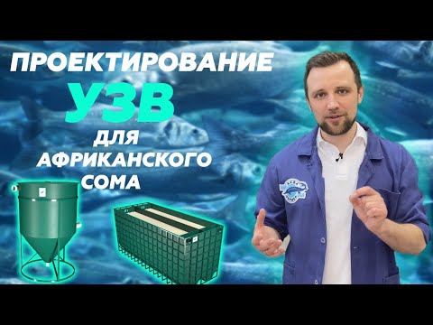 Видео: Топ ФИШЕК по ВЫРАЩИВАНИЮ АФРИКАНСКОГО СОМА в УЗВ | Какой бизнес ОТКРЫТЬ?