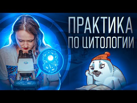 Видео: Открытый вебинар 2. Цитология, строение клетки | ЕГЭ-2025 по биологии