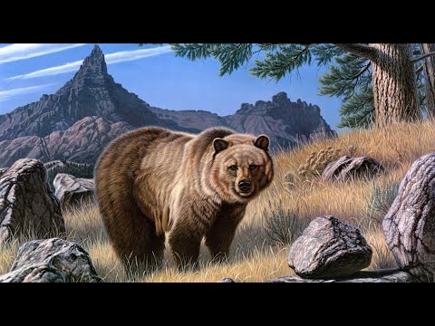 Видео: 4 клас, тема "Ритми й кольори Америки та Африки" (образотворче мистецтво)