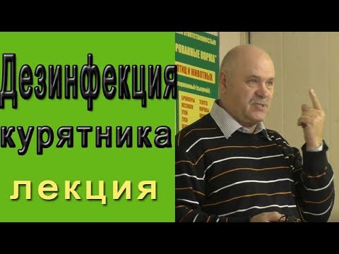 Видео: Как правильно делать дезинфекцию курятника