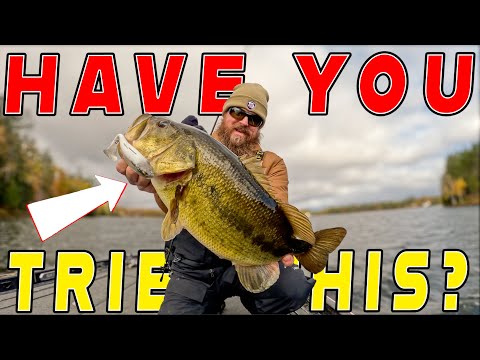 Видео: Как найти и поймать рыбу в любом озере! (3 основных способа ловли окуня)