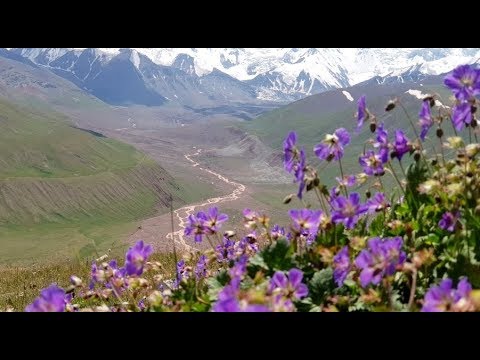 Видео: Как я провел этим летом. Osh Kyrgyzstan