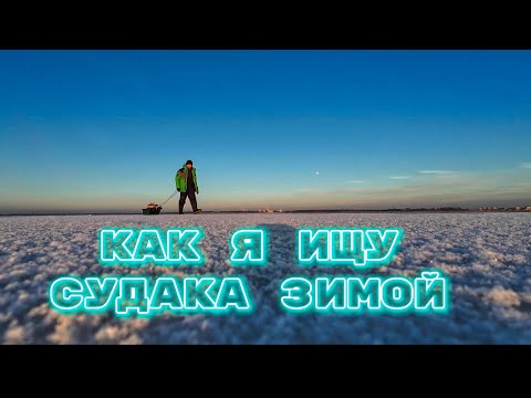 Видео: Диалоги о рыбалке на Иваньковском водохранилище / Судак после оттепели / Перенимаем опыт у рыбака 🤝