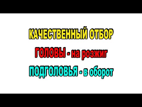 Видео: Правильный, быстрый, качественный ОТБОР ГОЛОВ и ПОДГОЛОВИЙ! НАГЛЯДНО нюансы, методика, объяснение!