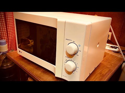 Видео: [engineer] Микроволновка LG с мусорки, восстановление...
