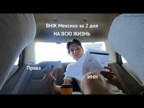 Видео: ВНЖ Мексики за 2 дня на всю жизнь | Driver license и Налоговый номер