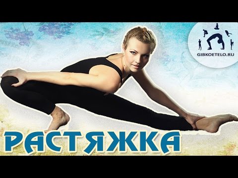Видео: Растяжка для начинающих на каждый день / Стретчинг