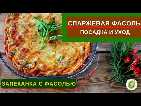Видео: СПАРЖЕВАЯ ФАСОЛЬ - как вырастить на огороде//рецепт запеканки со спаржевой фасолью