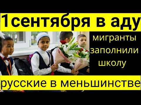 Видео: Школы захвачены мигрантами