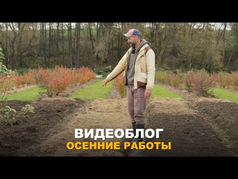 Видео: ВИДЕОБЛОГ: ЦЕННОЕ УДОБРЕНИЕ ИЗ ДЕРНОВОЙ ЗЕМЛИ. Осенние работы на участке.Обрезка ремонтантной малины