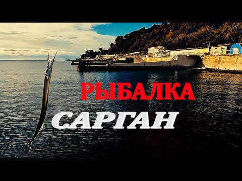 Видео: Крым-Морская Рыбалка в Черном Море. Ловля Саргана на  Мясо Курицы!