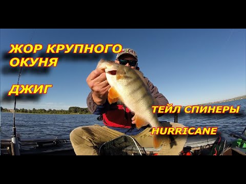 Видео: КЛЁВ КРУПНОГО ОКУНЯ ПОСЛЕ НЕРЕСТА! Ловля на Тейл спинеры HURRICANE  и ДЖИГ