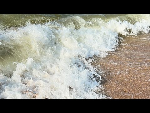 Видео: Тимур Амирасланов в прямом эфире!