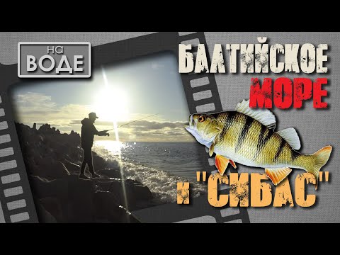 Видео: Морской окунь. Я его поймал! Рыбалка на Балтийском море в Польше.