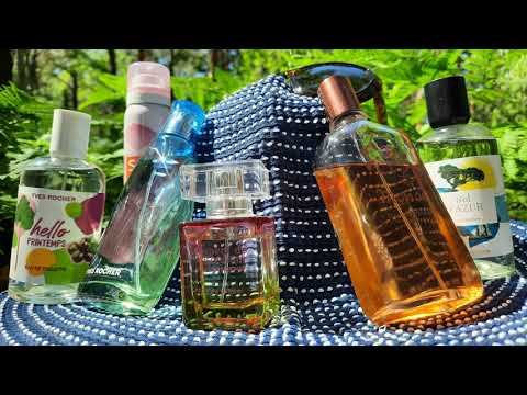 Видео: Ив Роше 🦚 Новинки и фавориты в моей коллекции ☘ Обзор парфюмов🌿