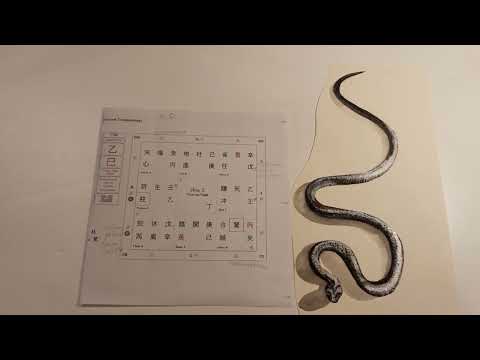 Видео: Непрогноз на 2025 год Деревянной Змеи