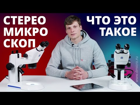 Видео: Стереомикроскоп. Что это такое? Почему СТЕРЕО микроскоп?