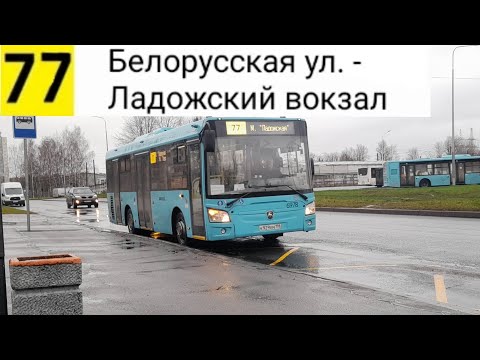 Видео: Автобус 77. Белорусская ул. - Ладожский вокзал