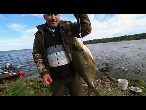 Видео: БЕЛОЯРСКОЕ ВОДОХРАНИЛИЩЕ! ДИКИЙ МЫС! В ЭТОМ МЕСТЕ КЛЮЮТ ЛЕЩИ ЗАБАБАХИ! РЫБАЛКА С НОЧЕВОЙ! Часть 1