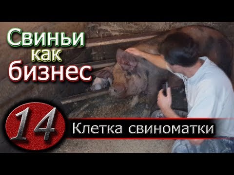 Видео: В ГОСТЯХ У СВИНОМАТКИ