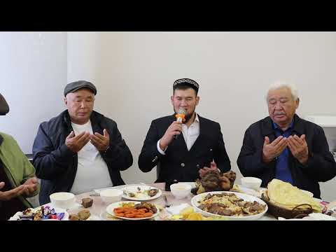 Видео: Ас видео 12