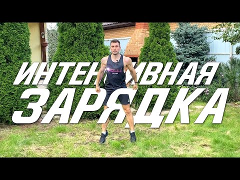 Видео: Интенсивная ЗАРЯДКА для каждого | Утренний комплекс упражнений