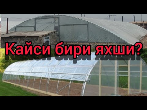 Видео: Совукга чидамли лимонария кандай булиши керак?