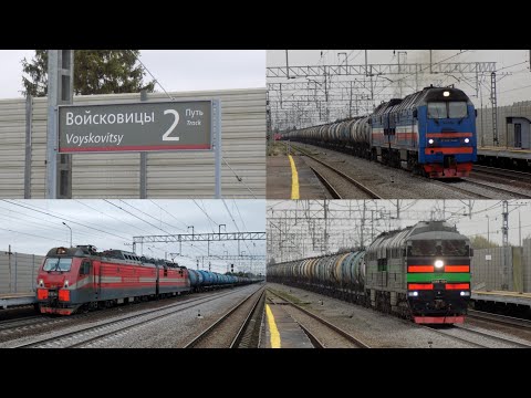 Видео: Абсолютно все приветливые поезда в Войсковицах 