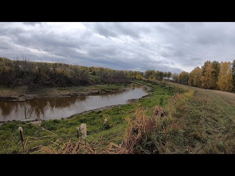 Видео: Рыбалка на ЩУКУ. Пересохшая Река Трофейная Щука