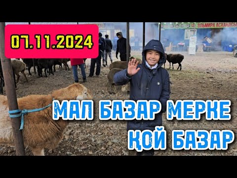 Видео: 07.11.2024 ҚОЙ БАЗАР / МАЛ БАЗАР МЕРКЕ