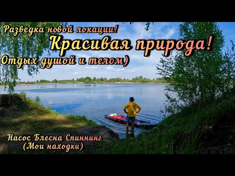 Видео: 💥Первый выезд на природу с ночёвкой! Орда комаров 🦟 Сплю на доске под открытым небом ☺