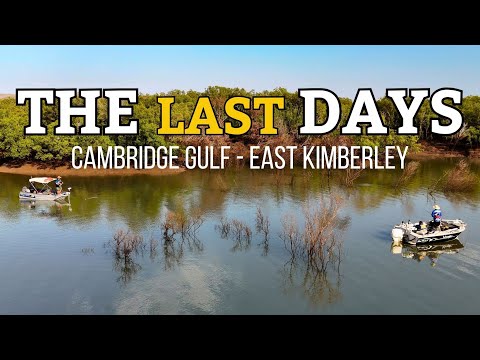 Видео: Борьба со штормами и погоня за баррамунди