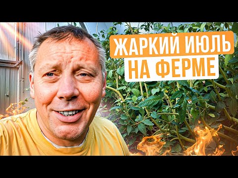 Видео: 📝 Мое хозяйство в июле: козы, бараны, утки, гуси и сенокос — всё в деталях! 🌾🐑🦆